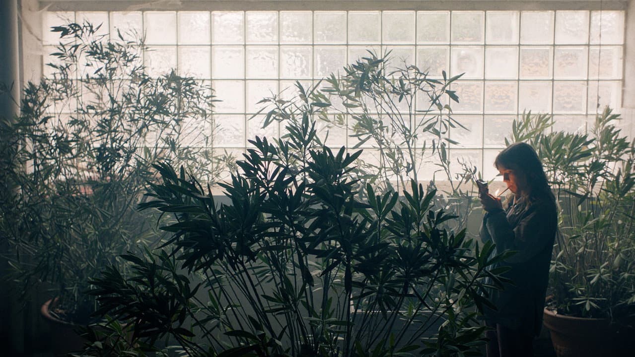 Backdrop Image
