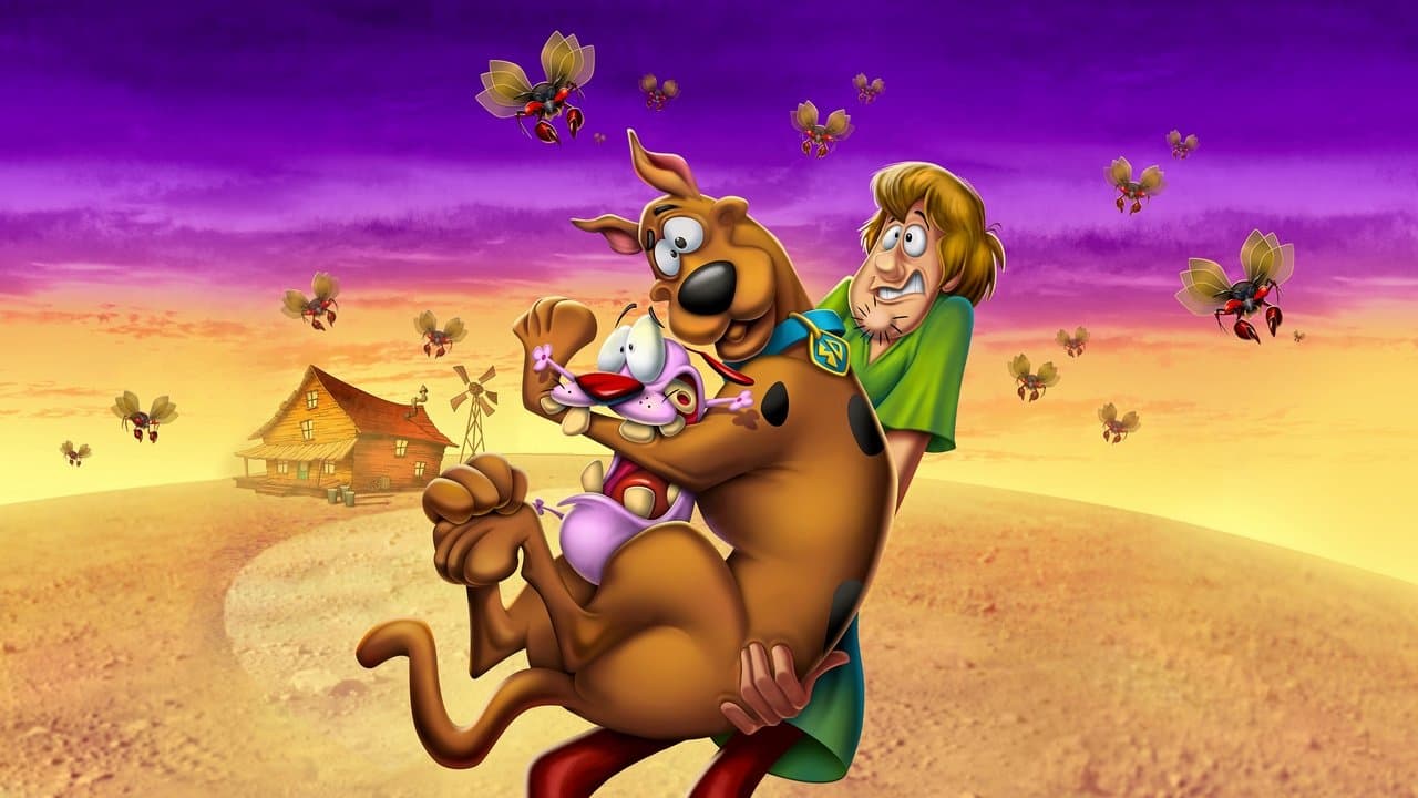 Backdrop Image
