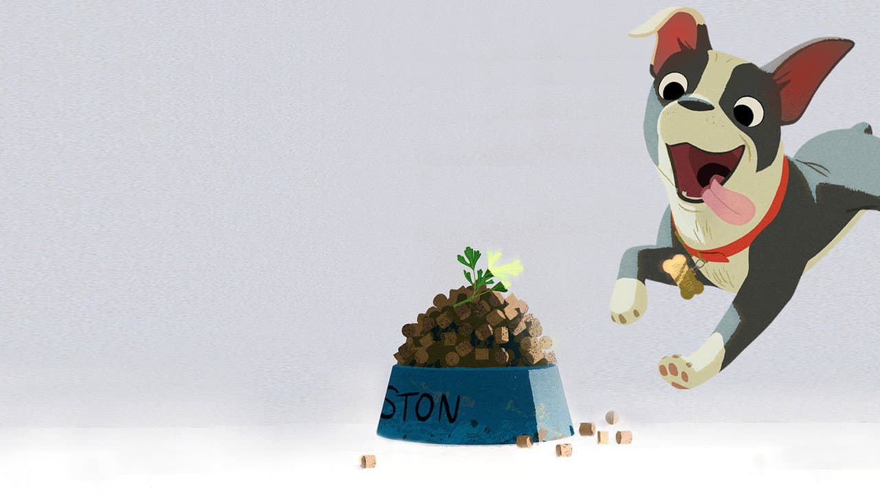 Backdrop Image