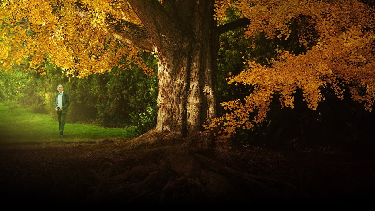 Backdrop Image