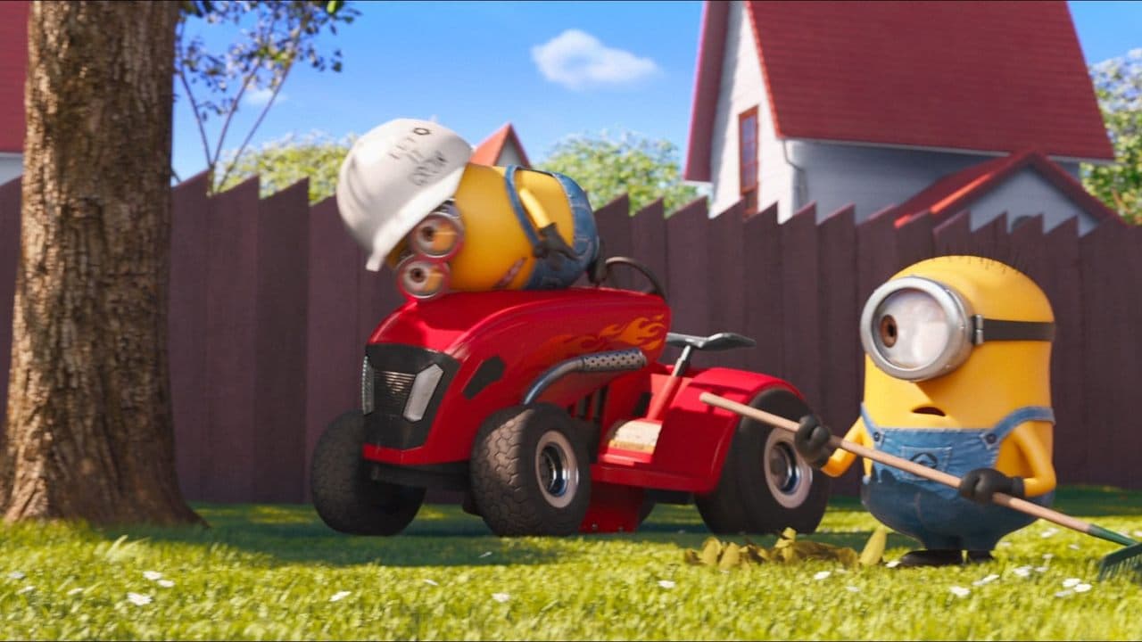 Backdrop Image
