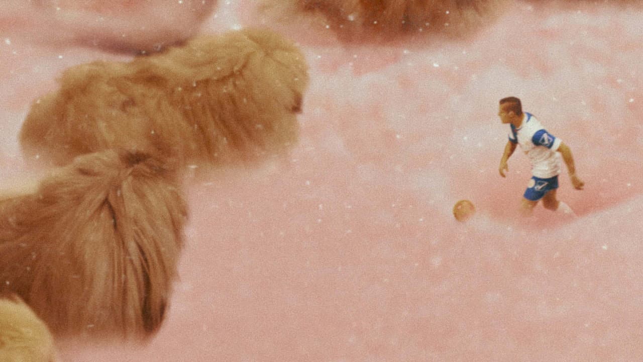 Backdrop Image