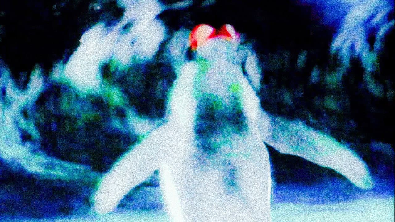 Backdrop Image