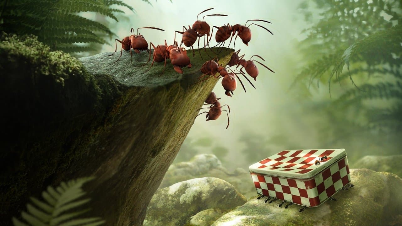 Backdrop Image