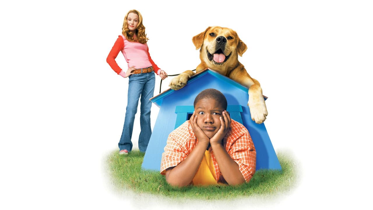 Backdrop Image