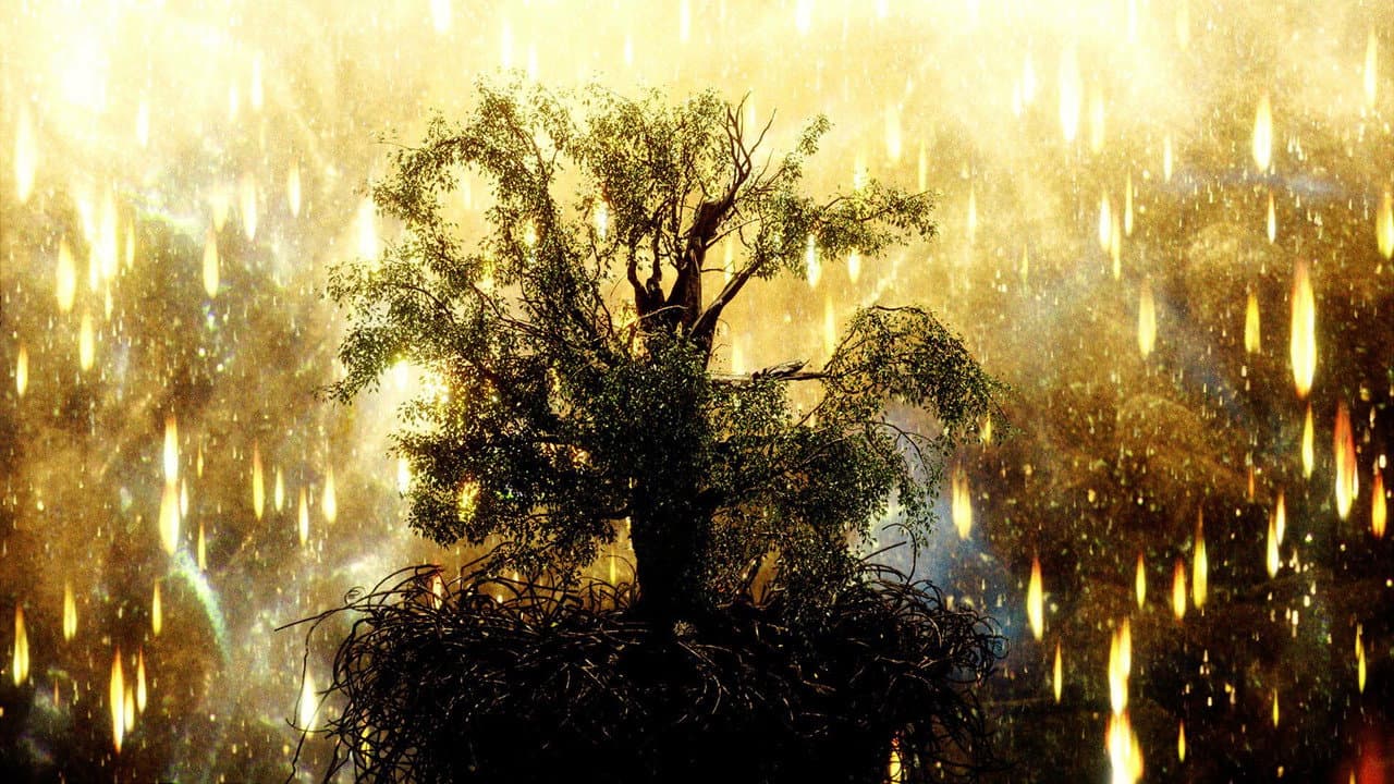 Backdrop Image