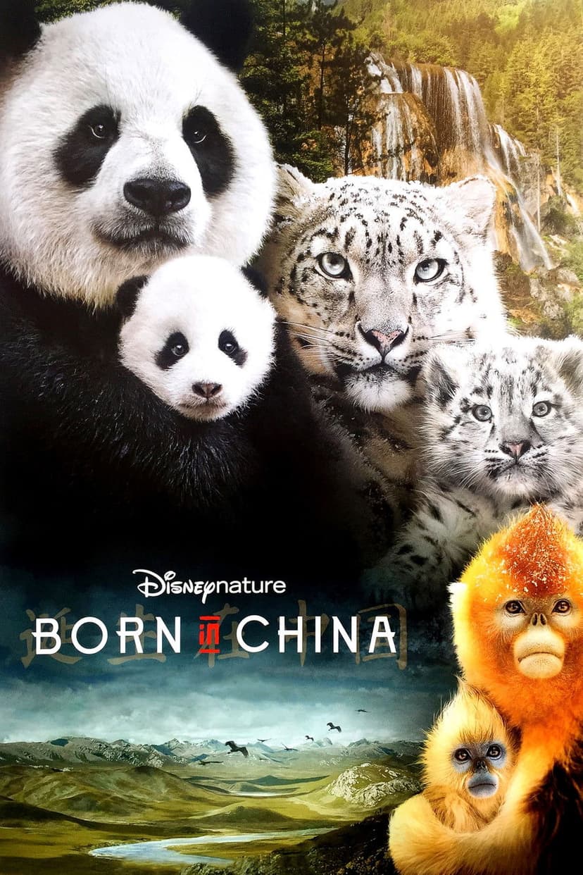 Poster Image