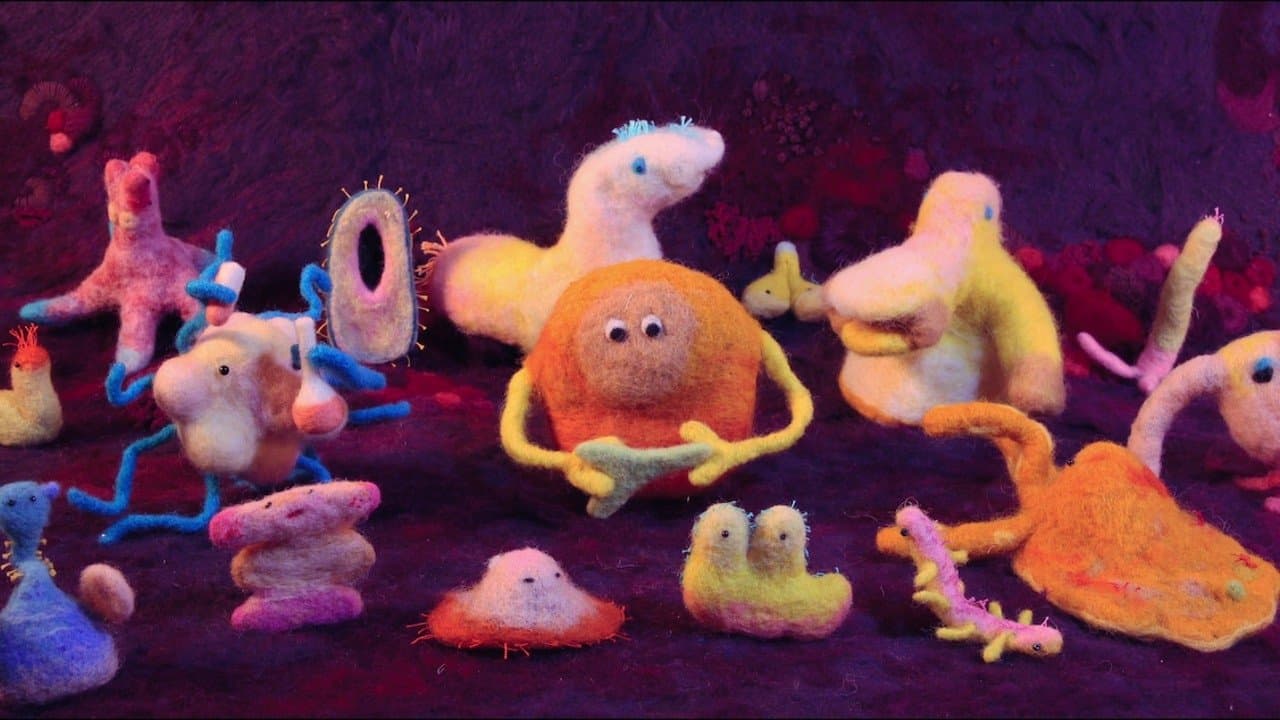 Backdrop Image
