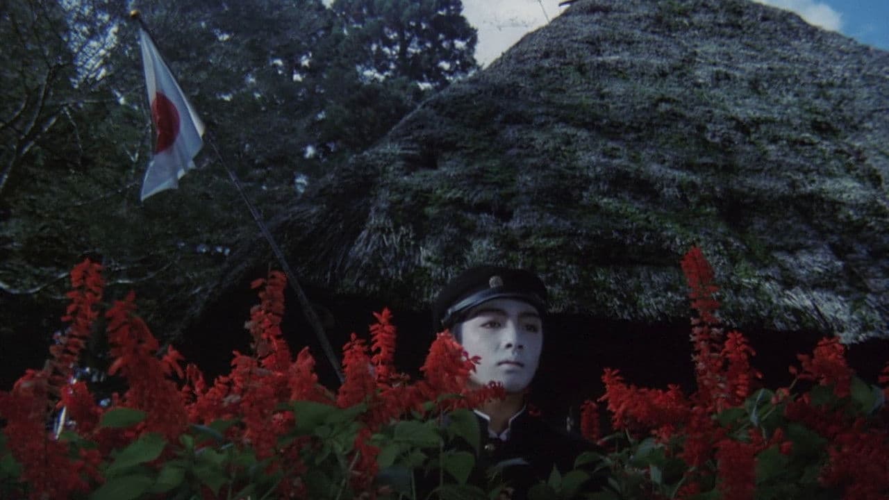 Backdrop Image