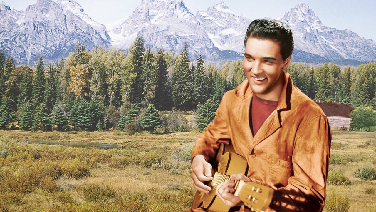 Backdrop Image