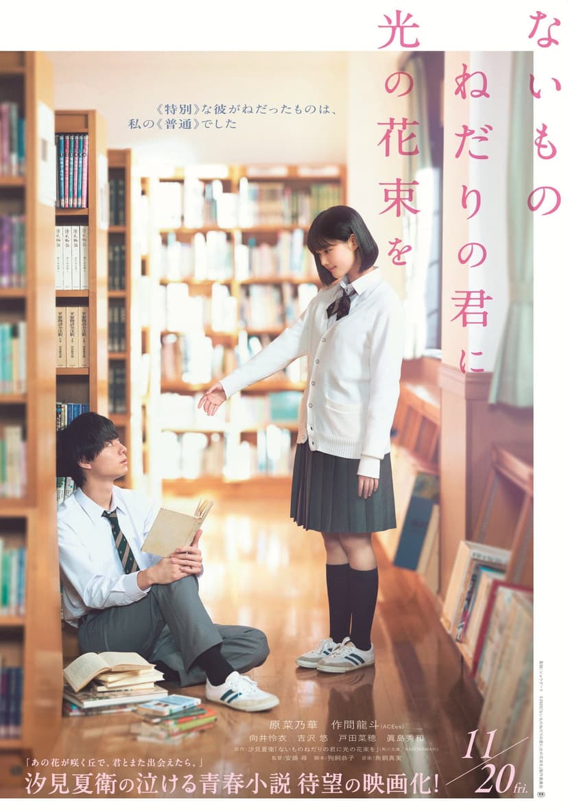 Poster Image