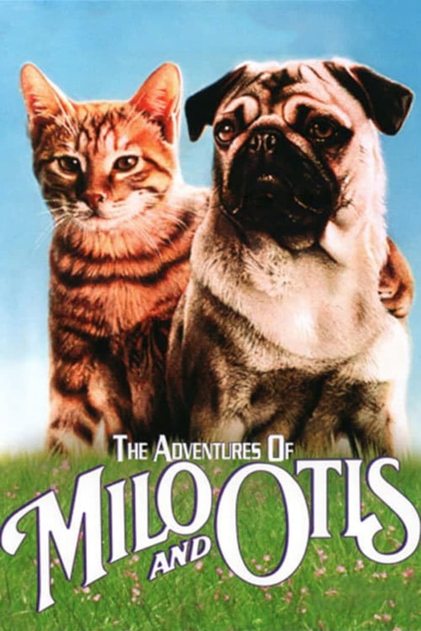 Poster Image