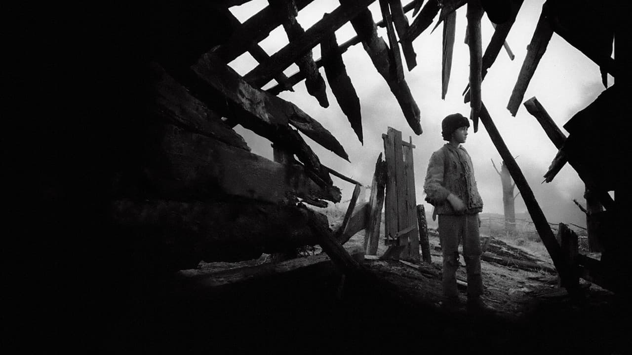 Backdrop Image