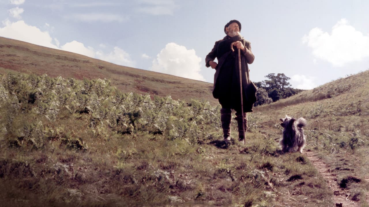 Backdrop Image