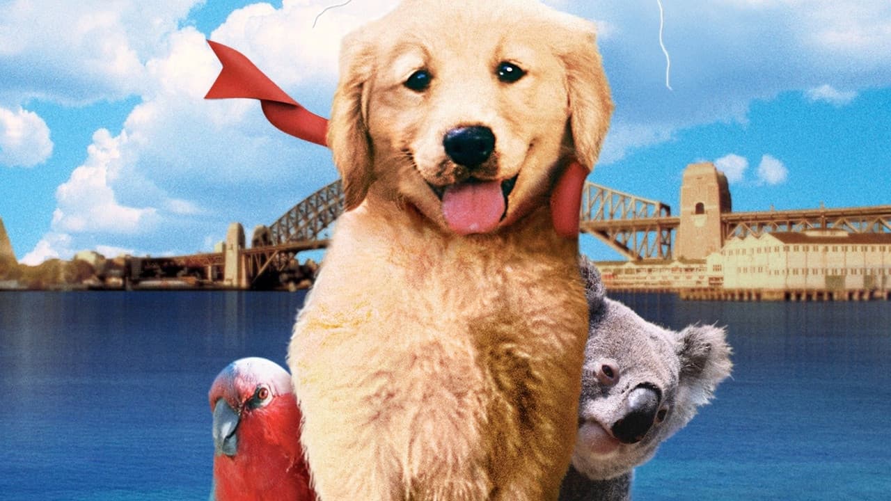 Backdrop Image