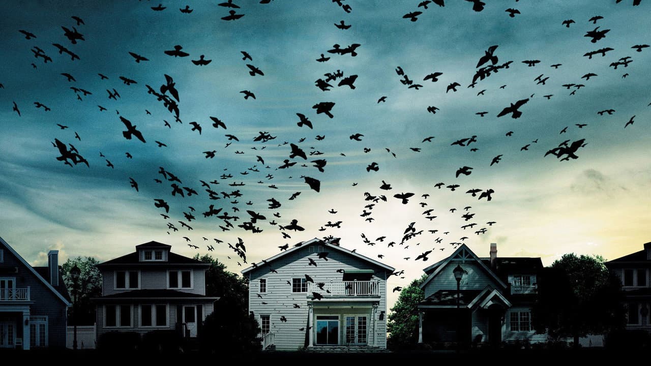 Backdrop Image
