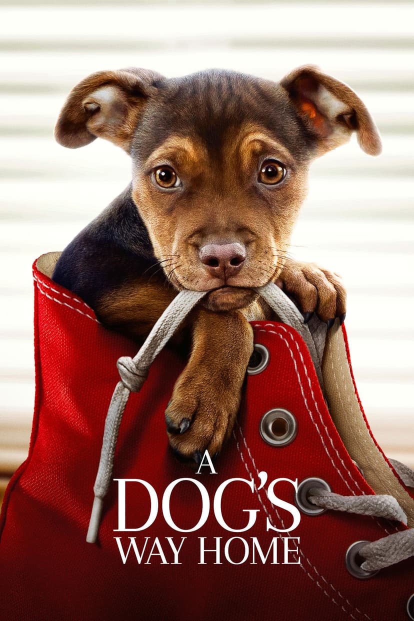 Poster Image