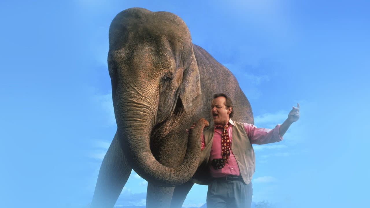 Backdrop Image