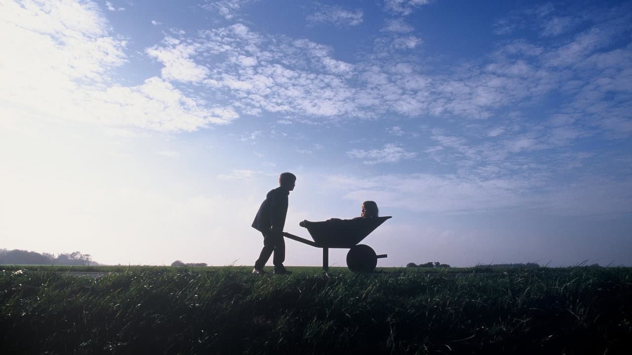 Backdrop Image