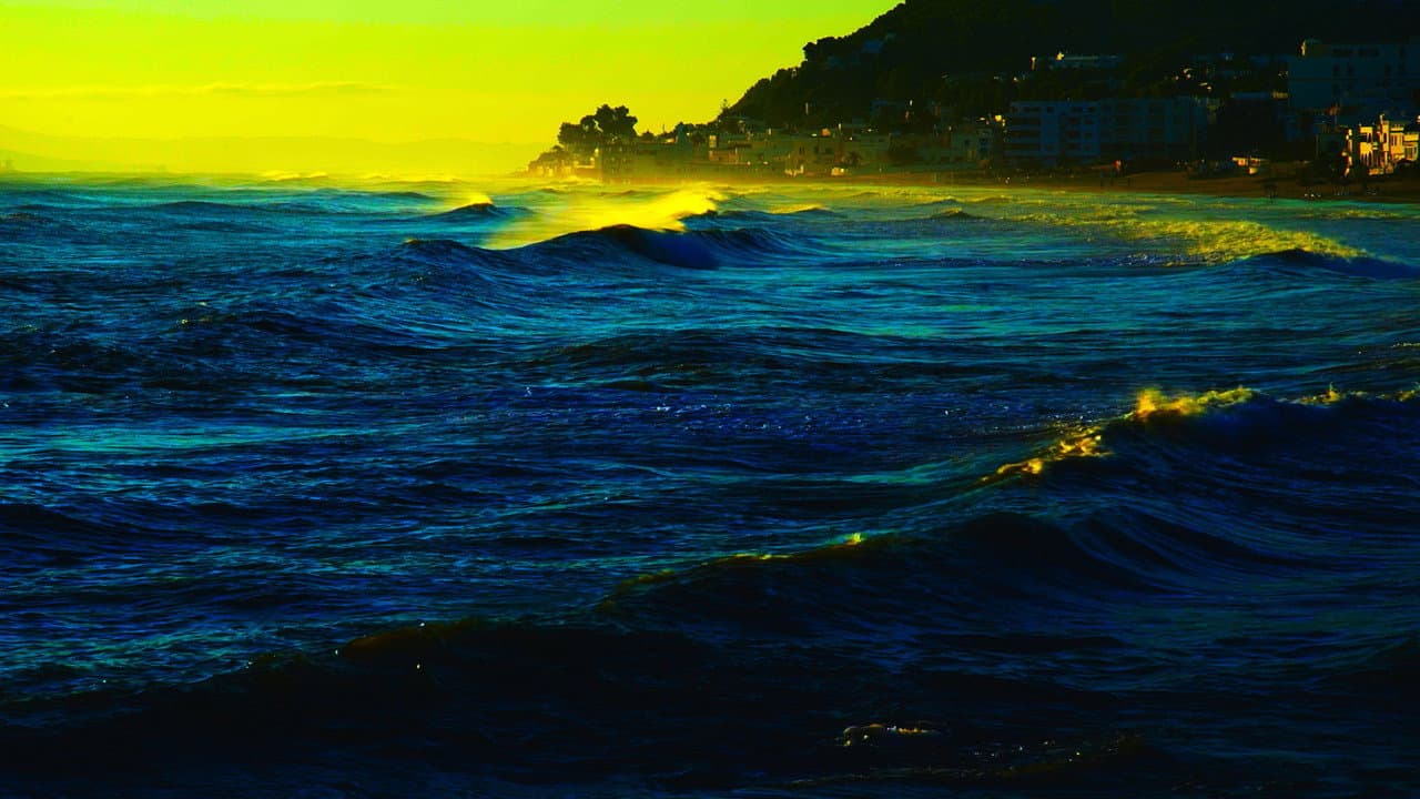 Backdrop Image