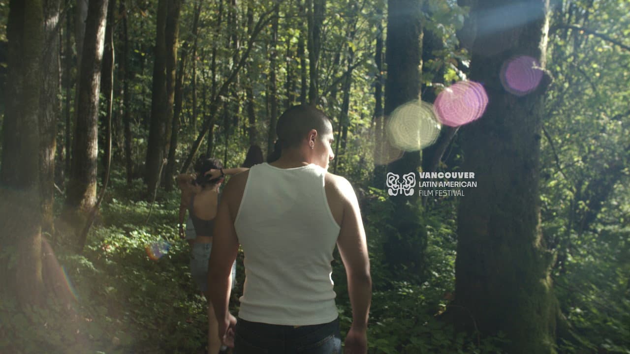 Backdrop Image
