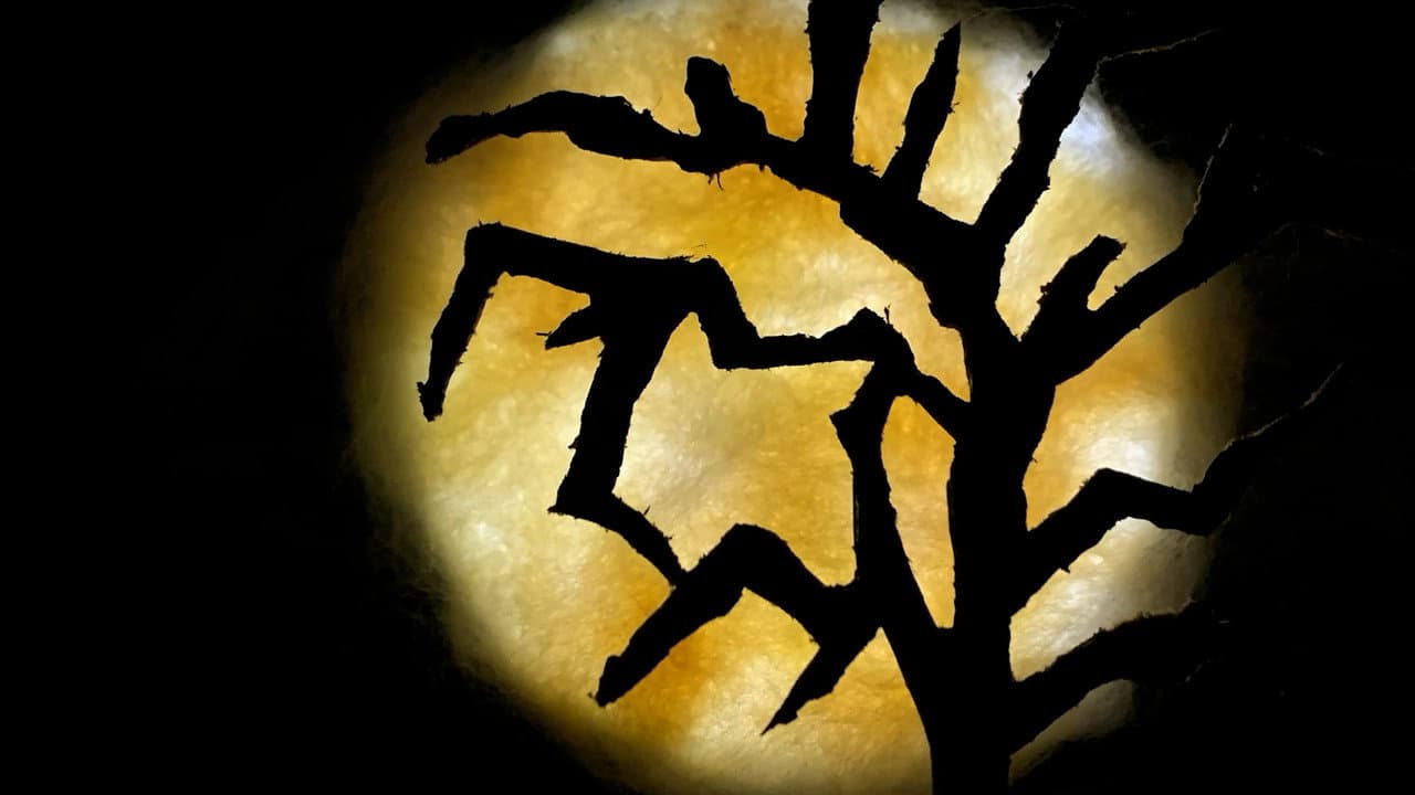 Backdrop Image