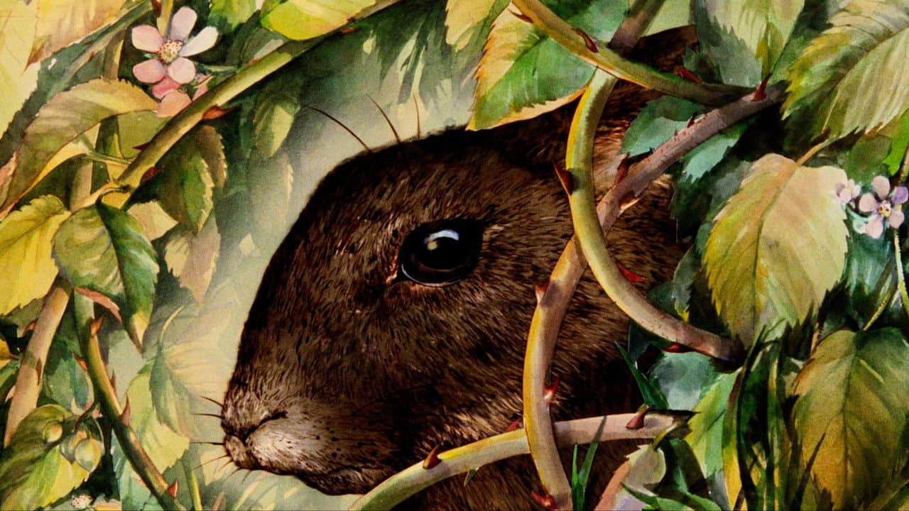Backdrop Image