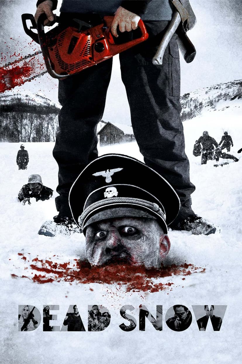 Poster Image