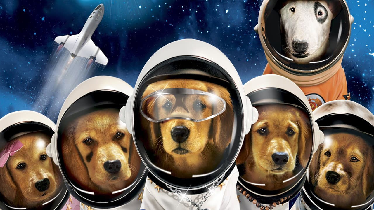 Backdrop Image