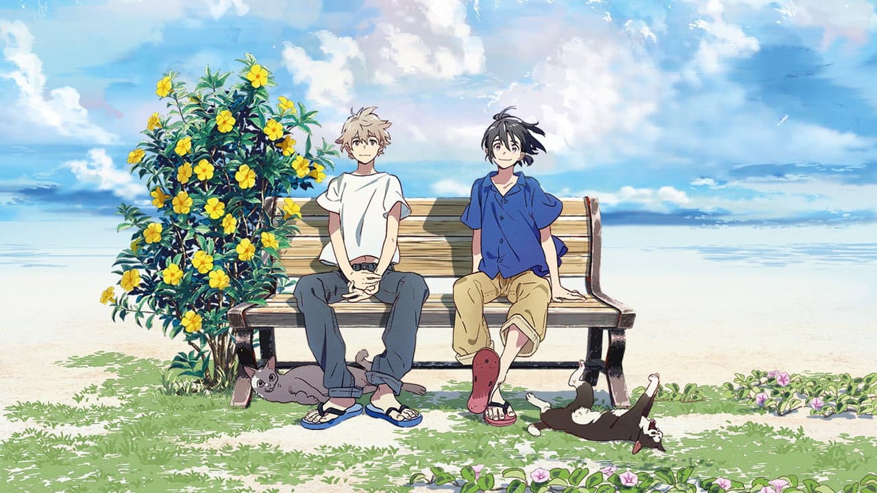Backdrop Image