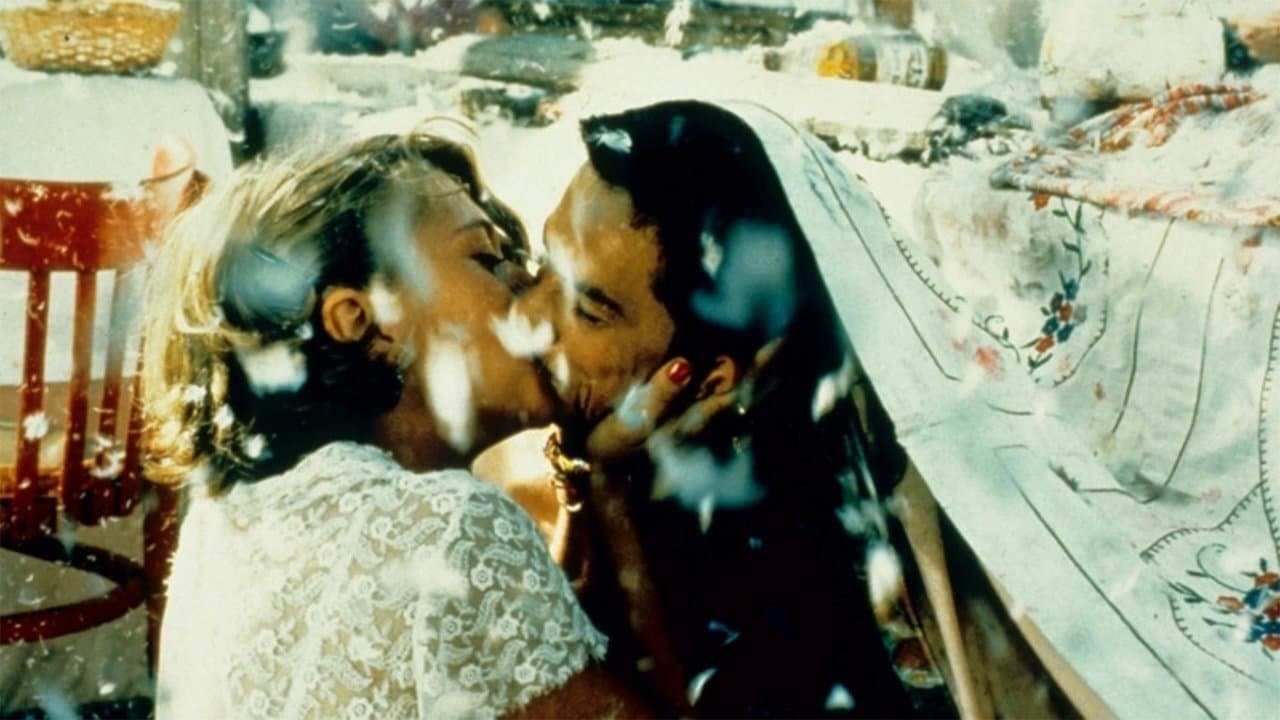 Backdrop Image
