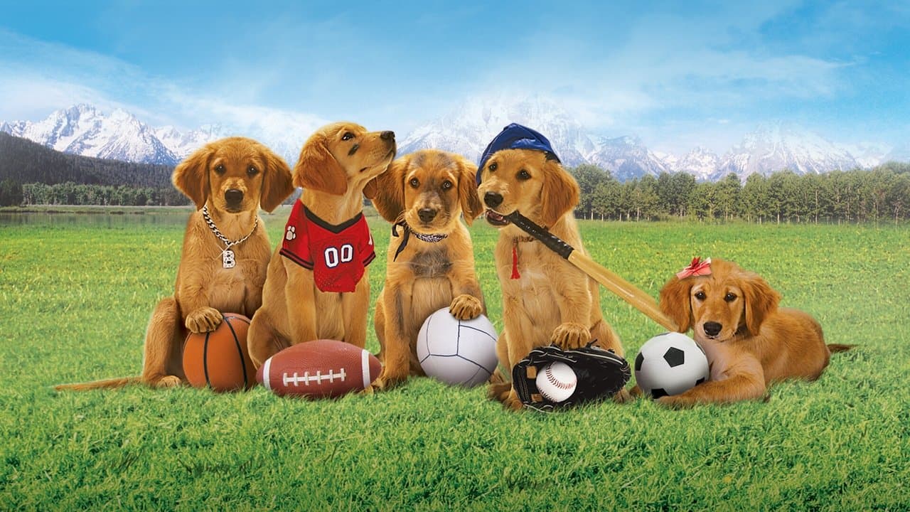 Backdrop Image