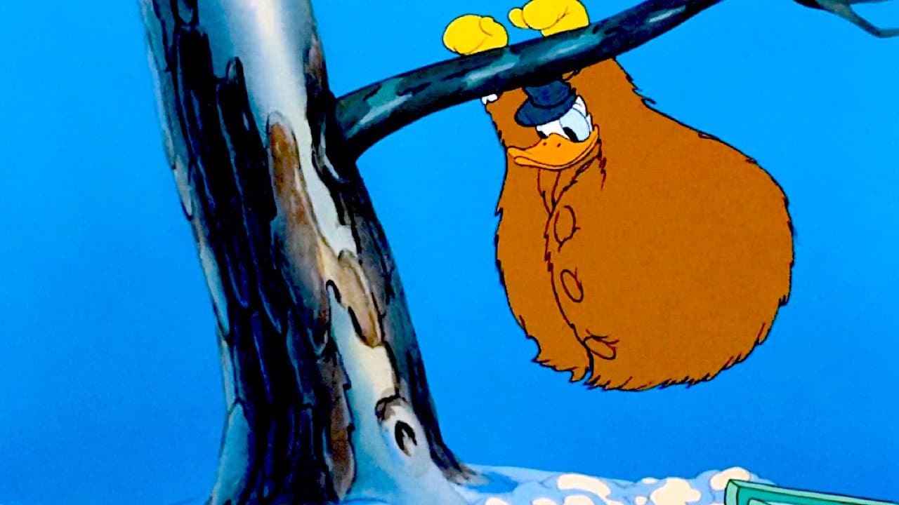 Backdrop Image