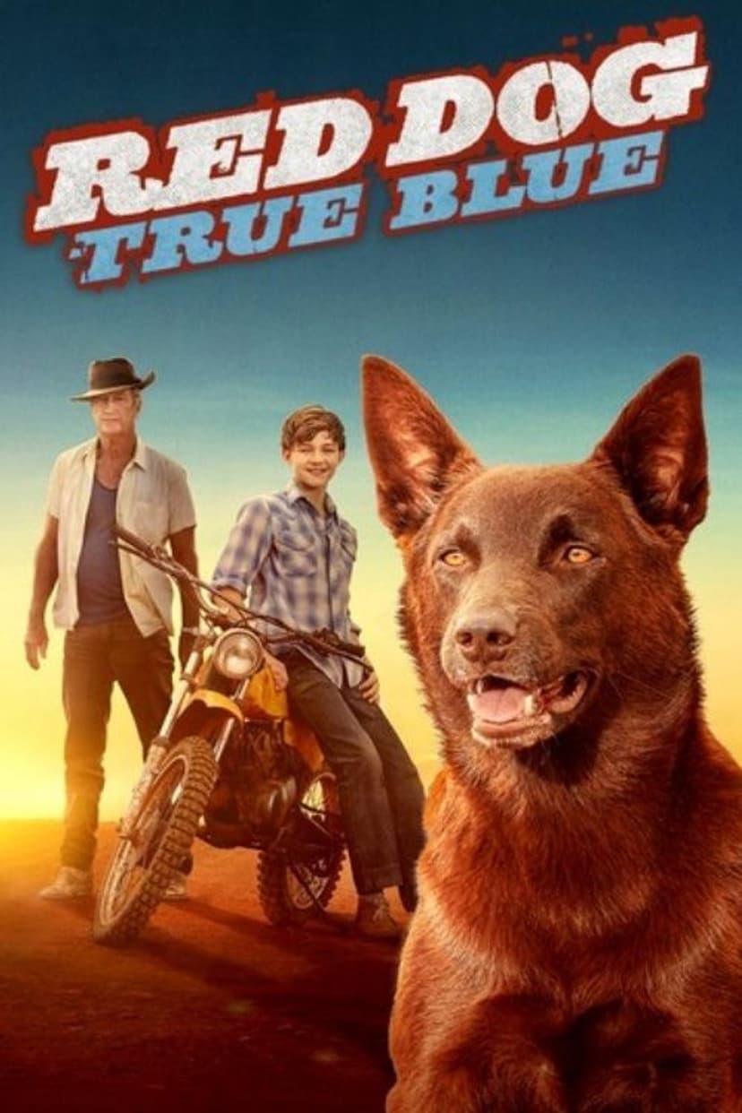 Poster Image