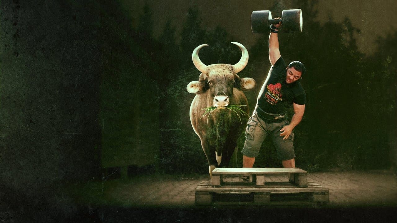Backdrop Image