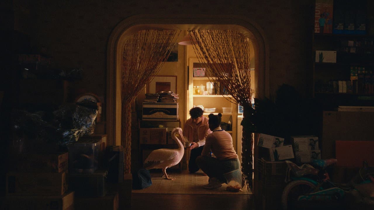 Backdrop Image