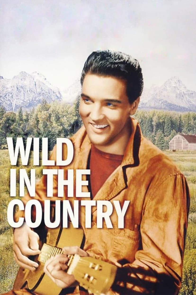 Poster Image