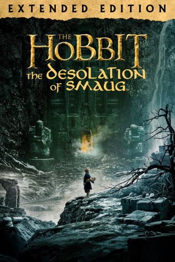 The Hobbit: The Desolation of Smaug - Extended Edition poster