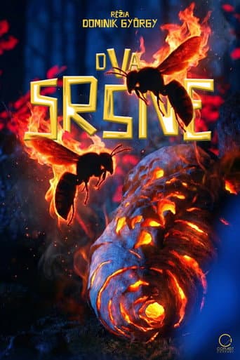 Two Hornets poster