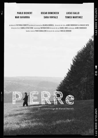 PIERRe poster
