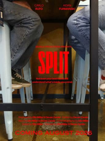 Split poster