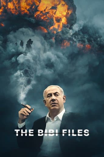 The Bibi Files The Bibi Files poster
