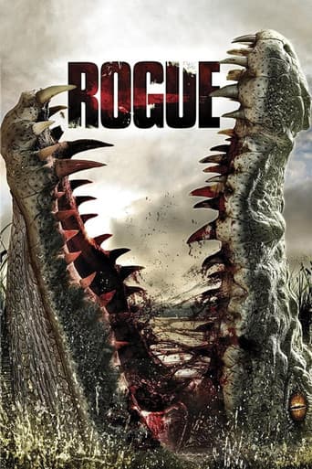 Rogue Rogue poster