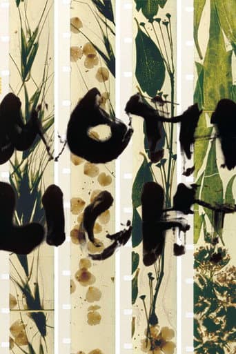 Mothlight poster