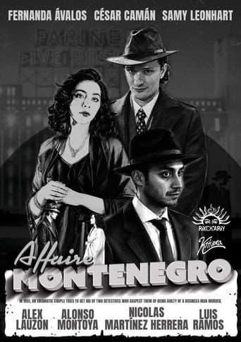 The Montenegro Affair poster