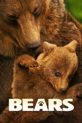 Bears Bears poster