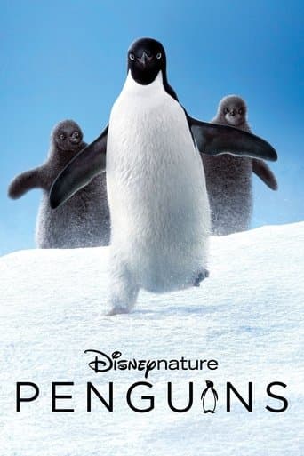 Penguins Penguins poster