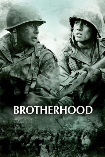 Tae Guk Gi: The Brotherhood of War poster