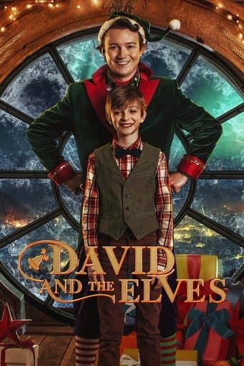 David and the Elves David and the Elves poster