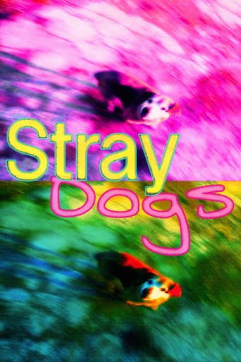 Stray Dogs poster
